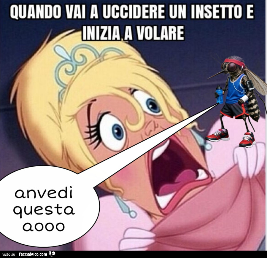 Insetti