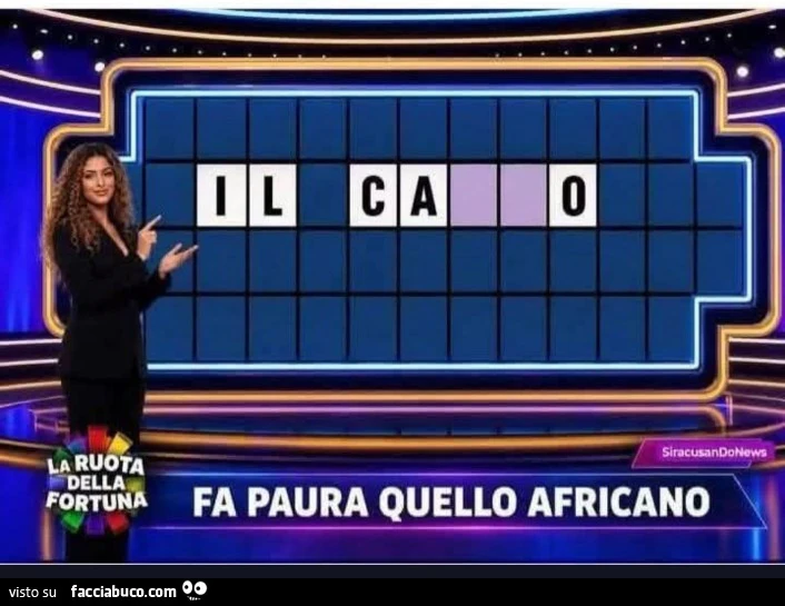 Vaccata