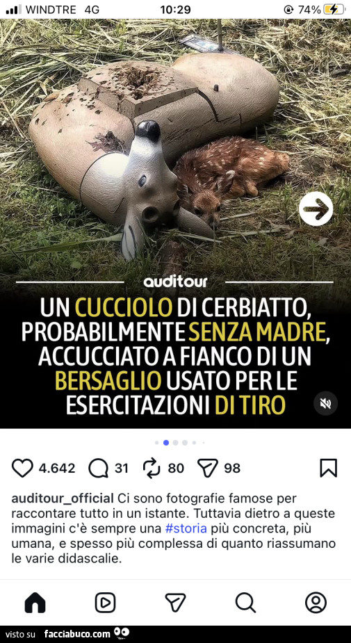 Vaccata