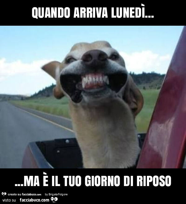 Quando arriva lunedì&hellip; ma è il tuo giorno di riposo