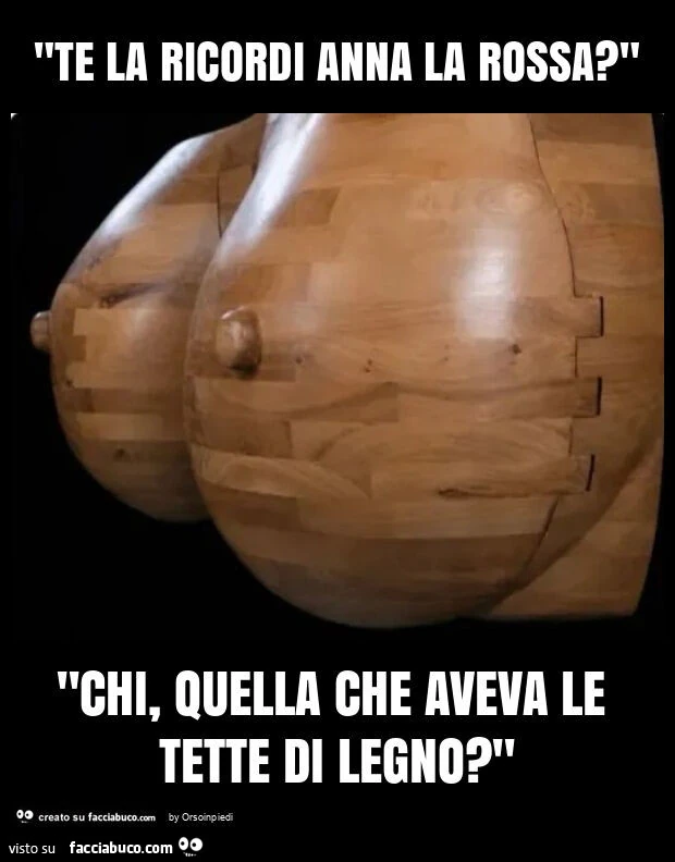 "te la ricordi anna la rossa? " "Chi, quella che aveva le tette di legno? "