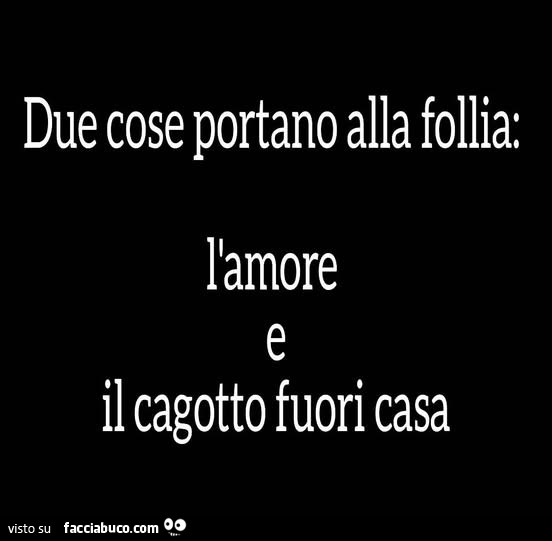 Due cose portano alla follia: l'amore e il cagotto fuori casa