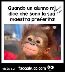Maestre ignoranti