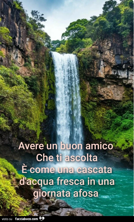 Amicizia