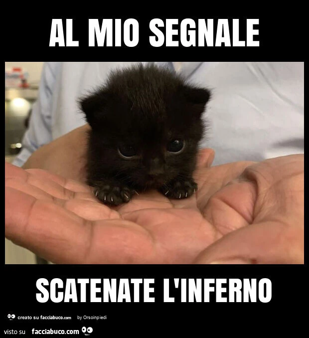 Al mio segnale scatenate l'inferno