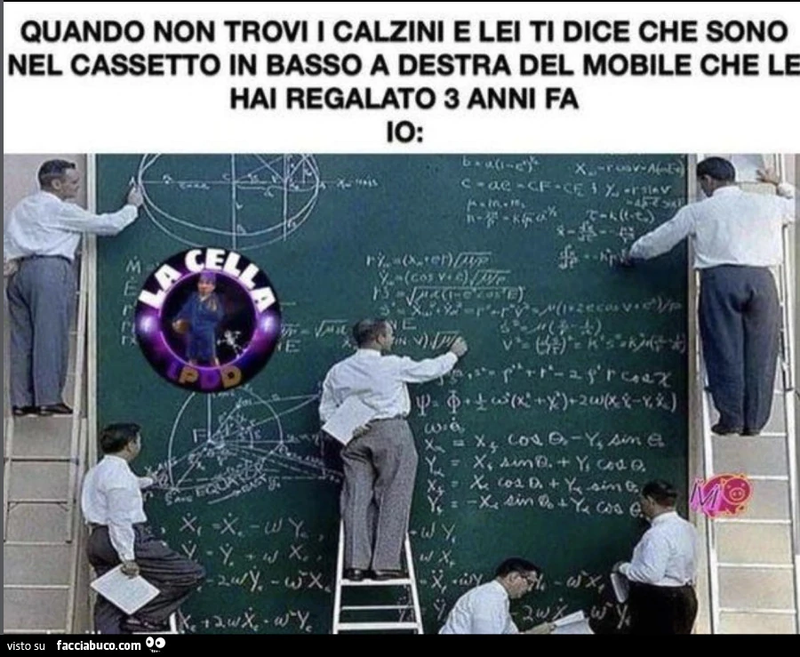 Vaccata
