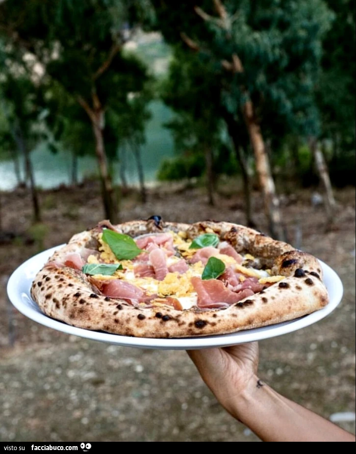Vaccata
