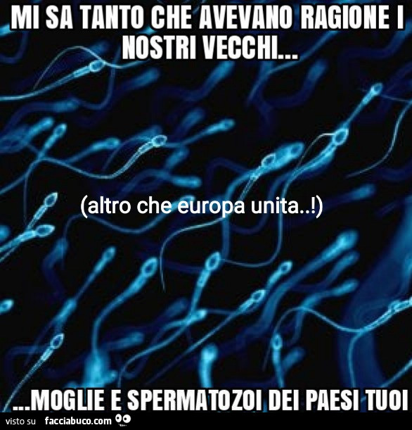 Moglie