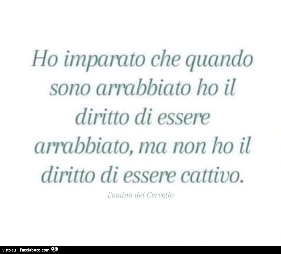 Ho impamto che quando sono arrabbiato ho il diritto di essete arrabbiato, ma non ho il diritto di essene cattivo