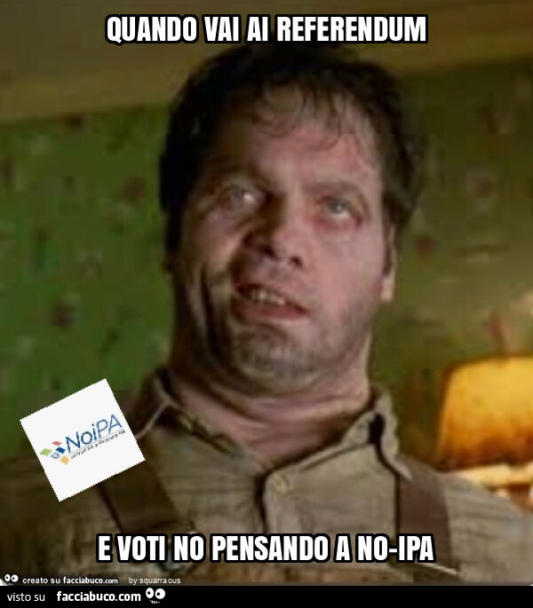 Quando vai ai referendum e voti no pensando a no-ipa