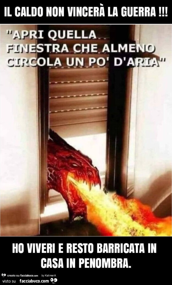 Il caldo non vincerà la guerra! Ho viveri e resto barricata in casa in penombra