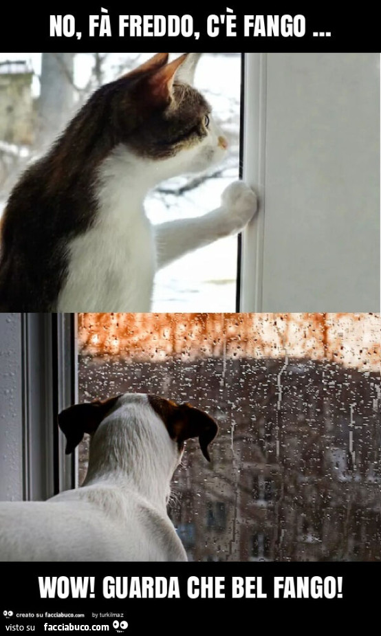 No, fà freddo, c'è fango&hellip; wow! Guarda che bel fango