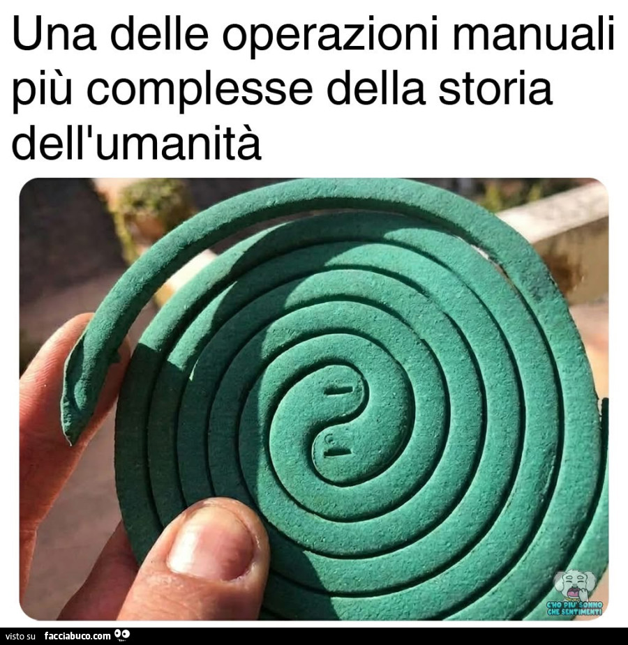 Vaccata