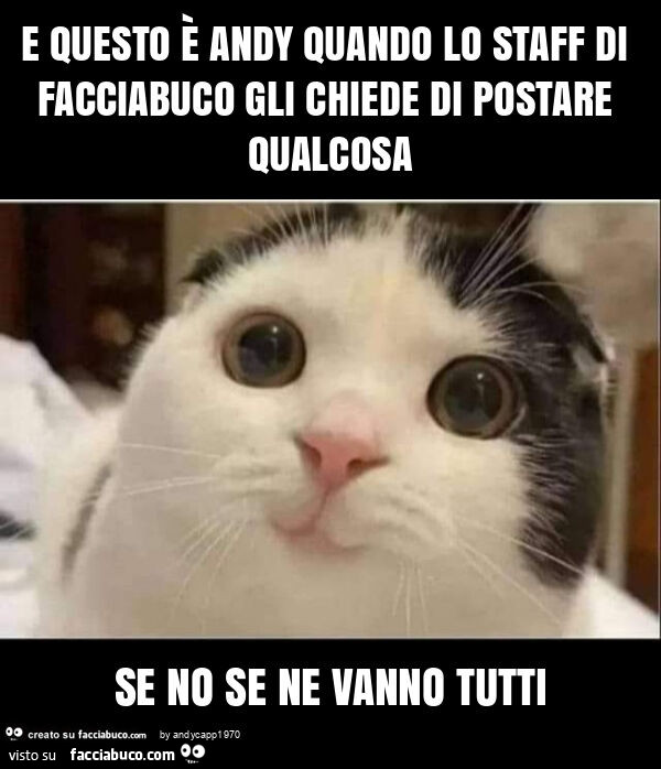 E questo è andy quando lo staff di facciabuco gli chiede di postare qualcosa se no se ne vanno tutti