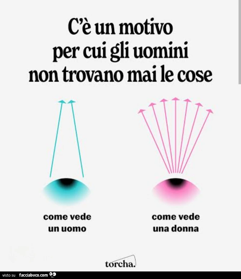 C'è un motivo per cui gli uomini non trovano mai le cose come vede un uomo come vede una donna