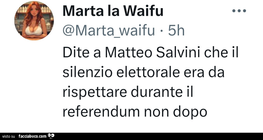 Dite a matteo salvini che il silenzio elettorale era da rispettare durante il referendum non dopo