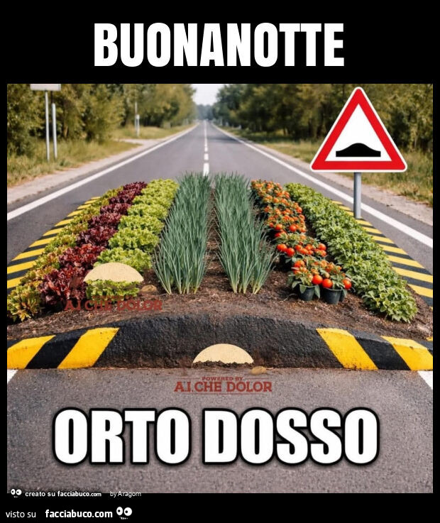 Buonanotte
