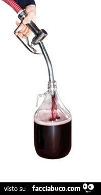 Vaccata