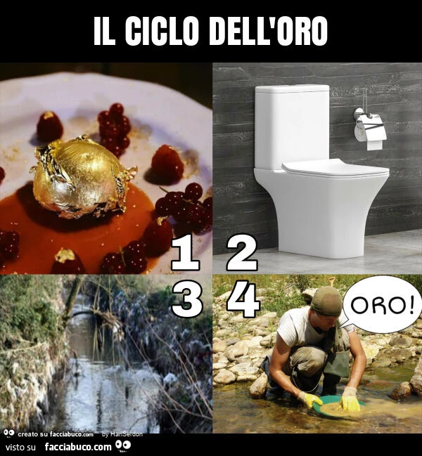 Il ciclo dell'oro