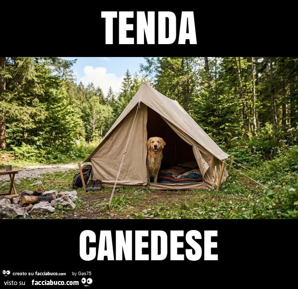 Tenda canedese