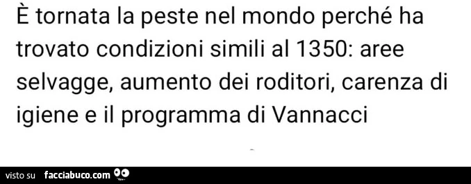 È tornata la peste nel mondo perché ha trovato condizioni simili al 1350: aree selvagge, aumento dei roditori, carenza di igiene e il programma di vannacci