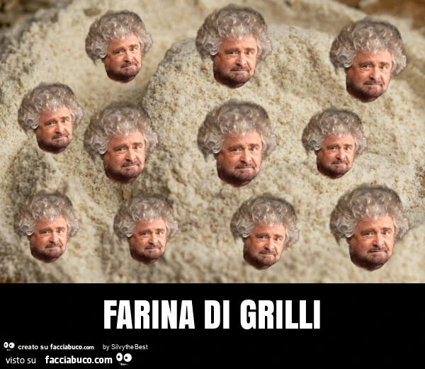 Farina di grilli
