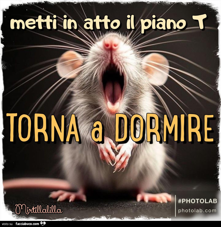 Torna a dormire