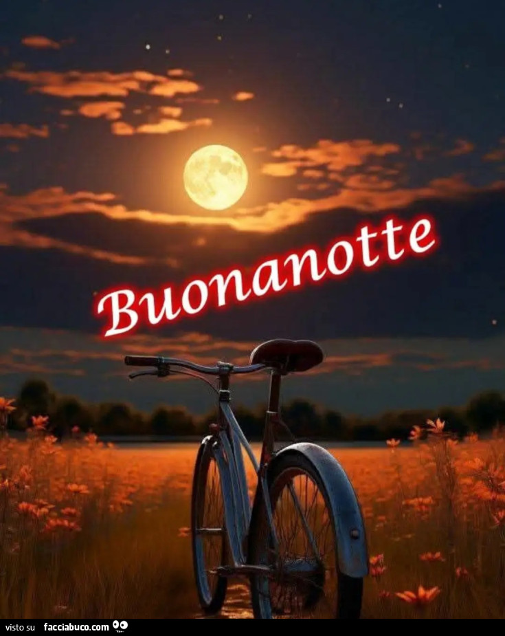 'Notte