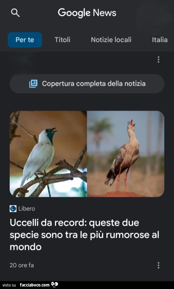 Vaccata