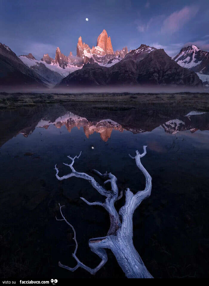 L'International Landscape Photographer of the Year è giunto alla sua dodicesima edizione nel 2025, consolidandosi come uno dei concorsi di fotografia di paesaggio più prestigiosi al mondo. Quest'anno