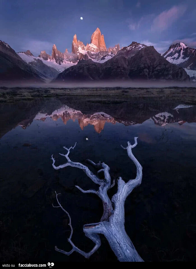 L'International Landscape Photographer of the Year è giunto alla sua dodicesima edizione nel 2025, consolidandosi come uno dei concorsi di fotografia di paesaggio più prestigiosi al mondo. Quest'anno