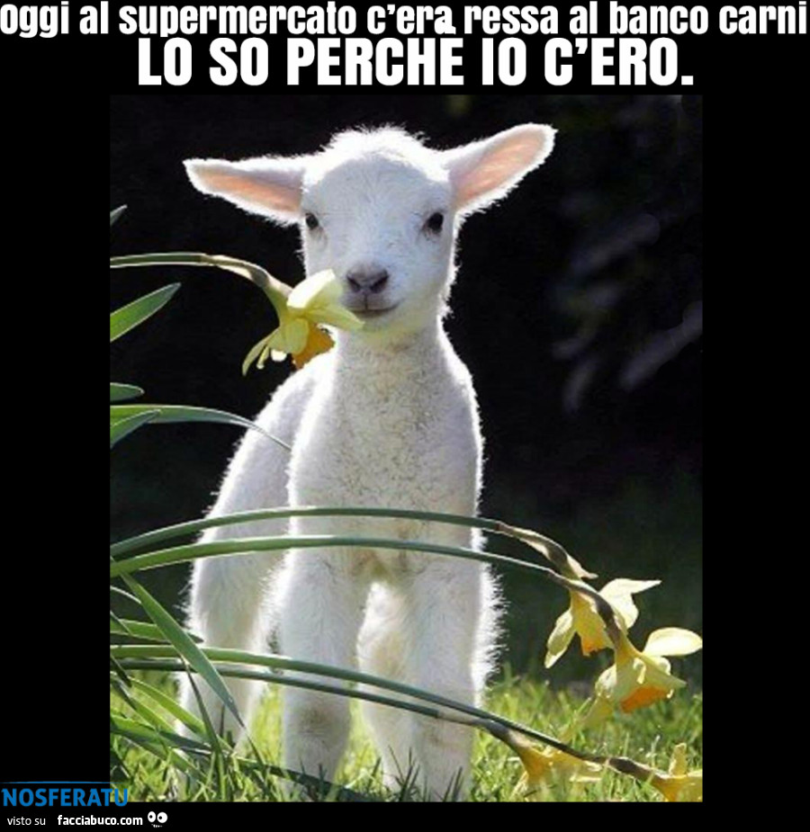 Oggi al supermercato c'era ressa al banco carni