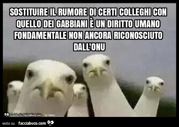 Sostituire il rumore di certi colleghi con quello dei gabbiani è un diritto umano fondamentale non ancora riconosciuto dall'onu
