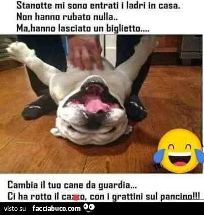 Vaccata