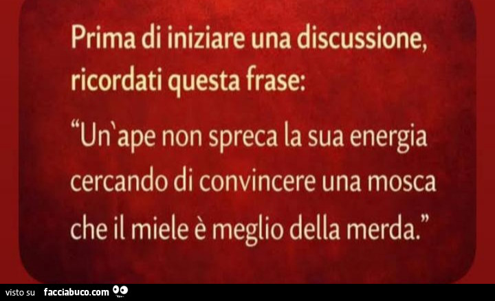 Prima di iniziare una discussione, ricordati questa frase: un'ape non spreca la sua energia cercando di convincere una mosca che il miele è meglio della merda