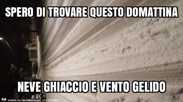 Spero di trovare questo domattina neve ghiaccio e vento gelido