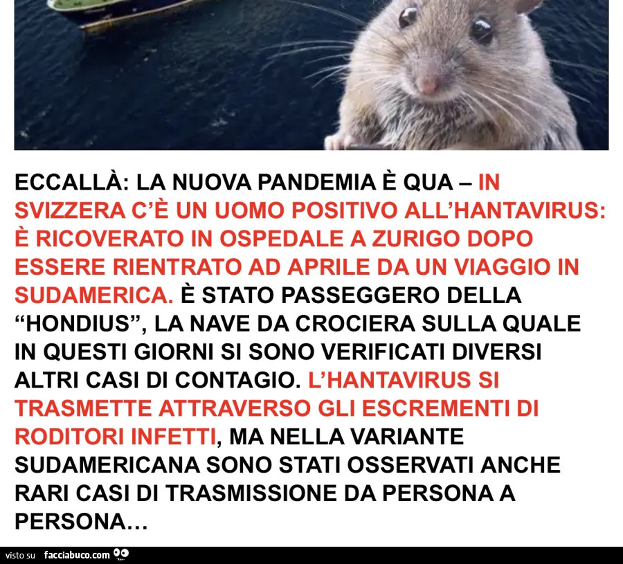 Vaccata