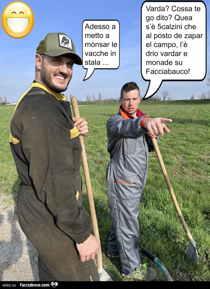 Vaccata