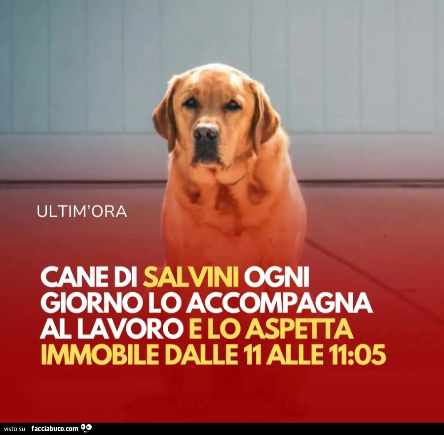 Salvini