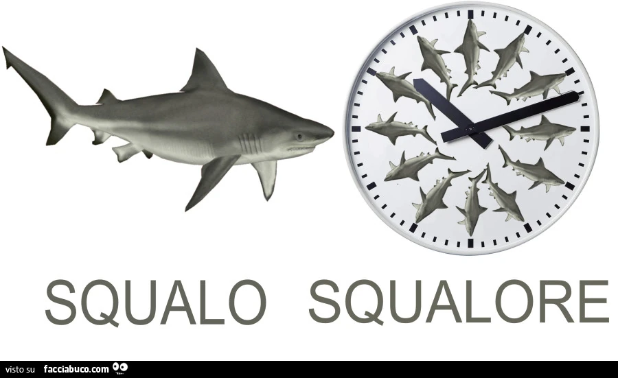 Squalo. Squalore