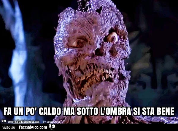 Fa un po' caldo ma sotto l'ombra si sta bene
