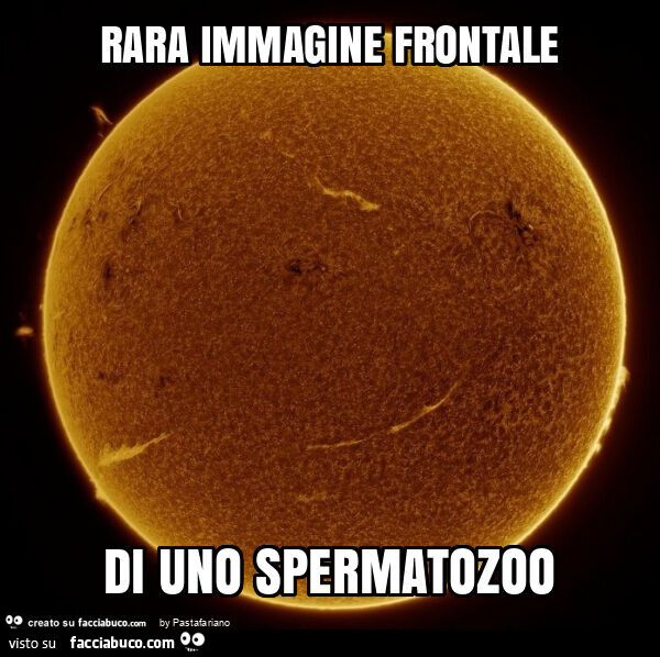 Rara immagine frontale di uno spermatozoo