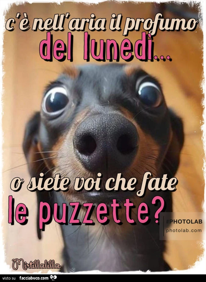 Profumo di lunedรฌ