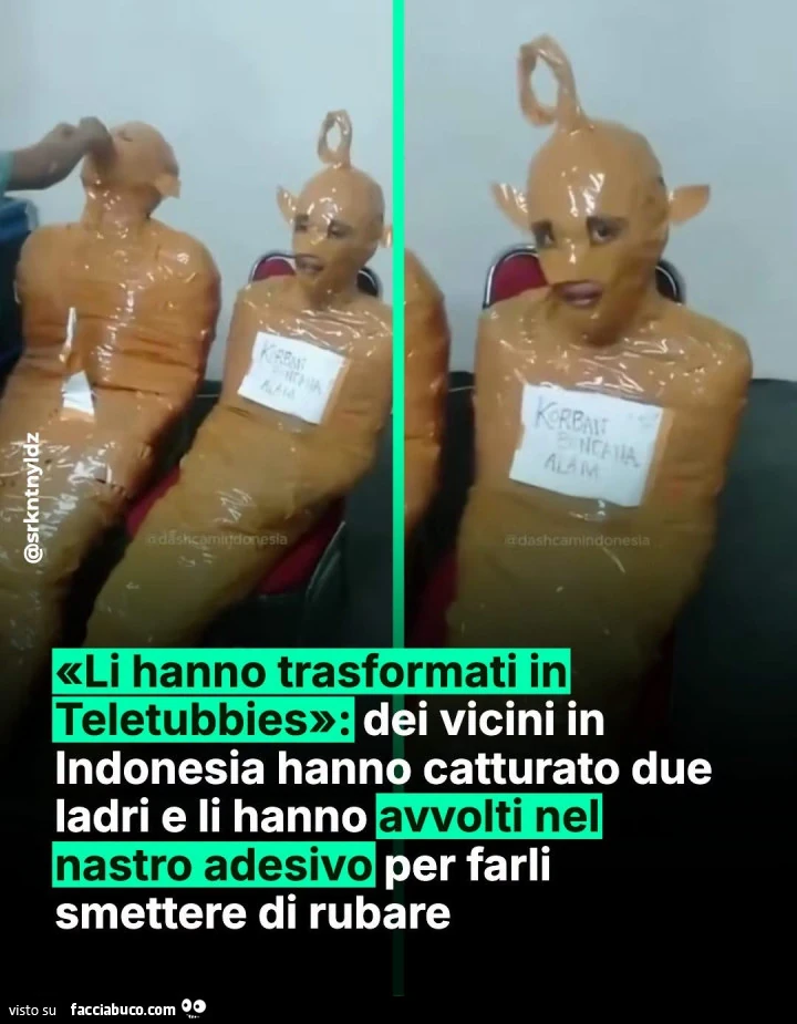 Vaccata