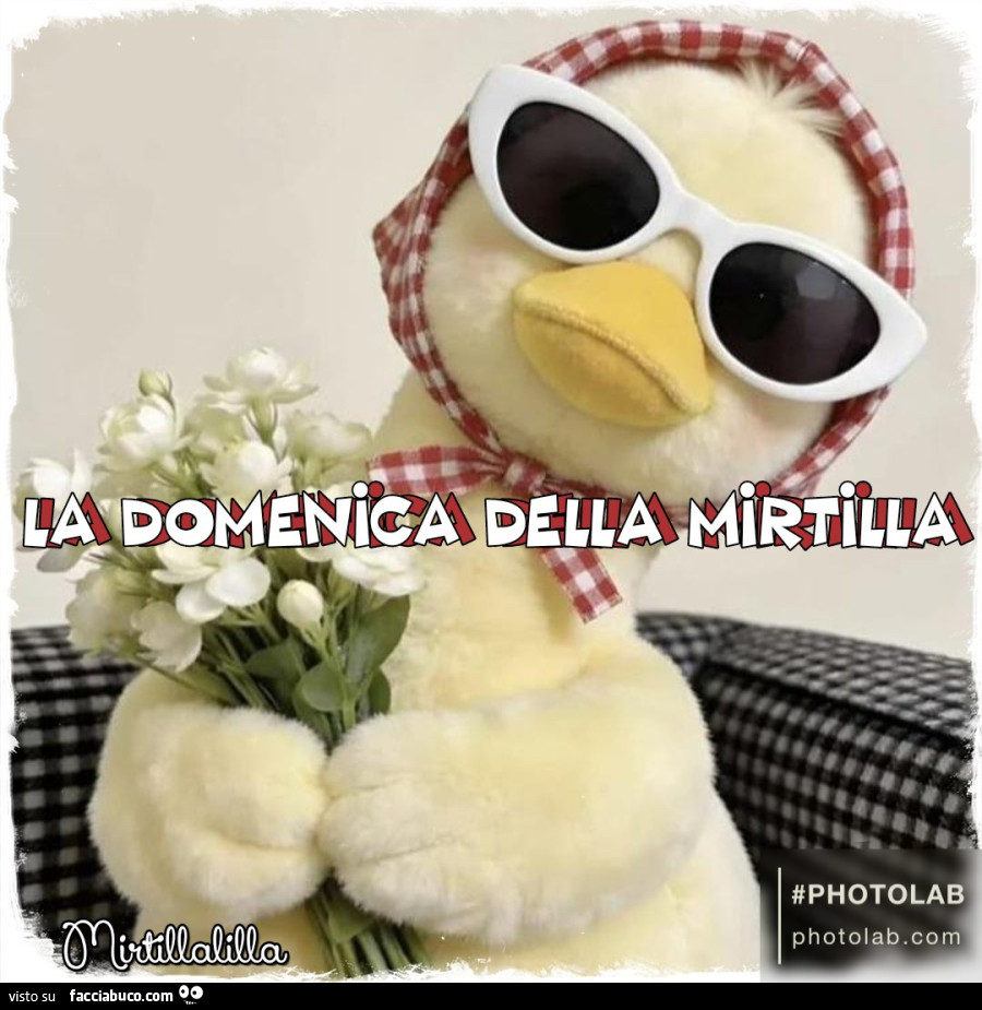La domenica della Mirtilla