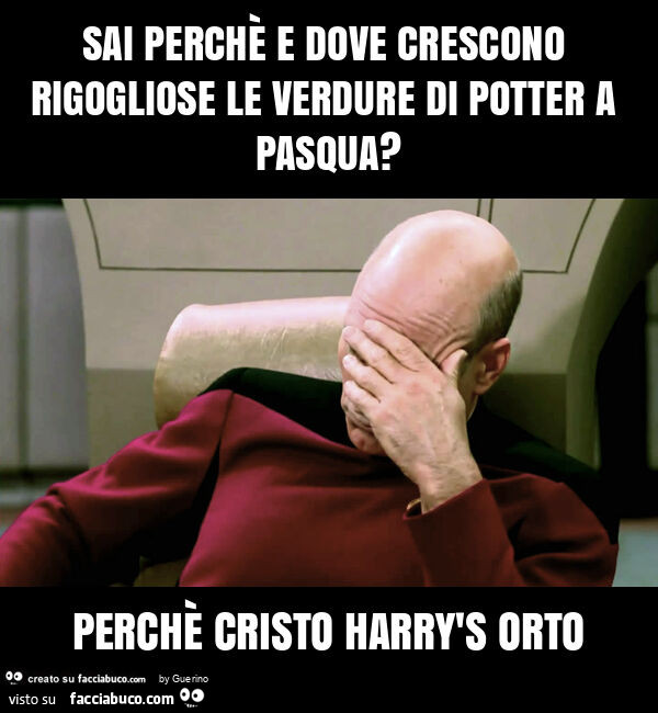 Sai perchè e dove crescono rigogliose le verdure di potter a pasqua? Perchè cristo harry's orto
