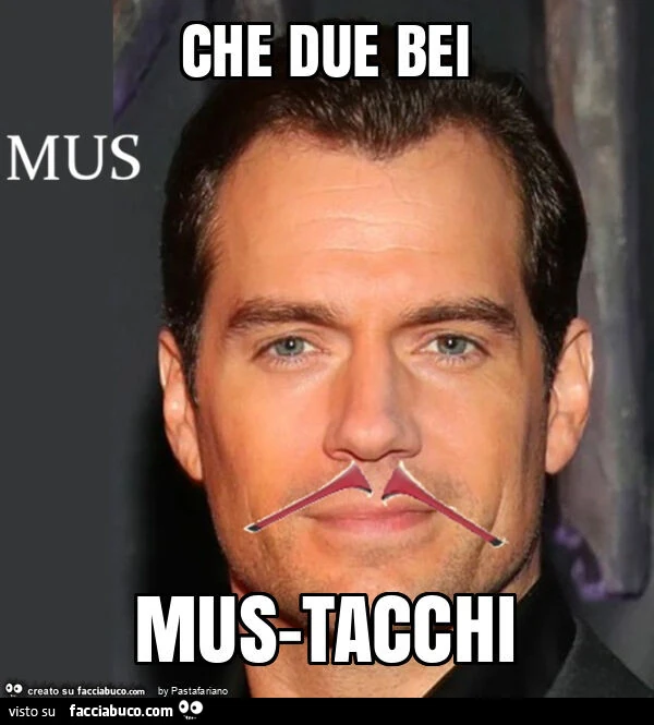Che due bei mus-tacchi