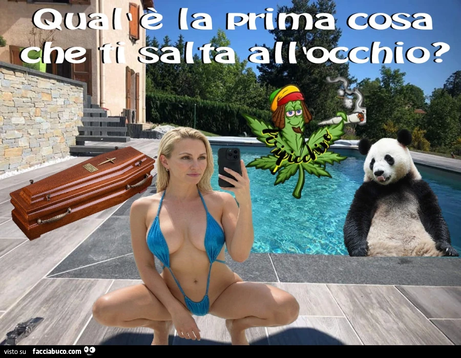 Vaccata
