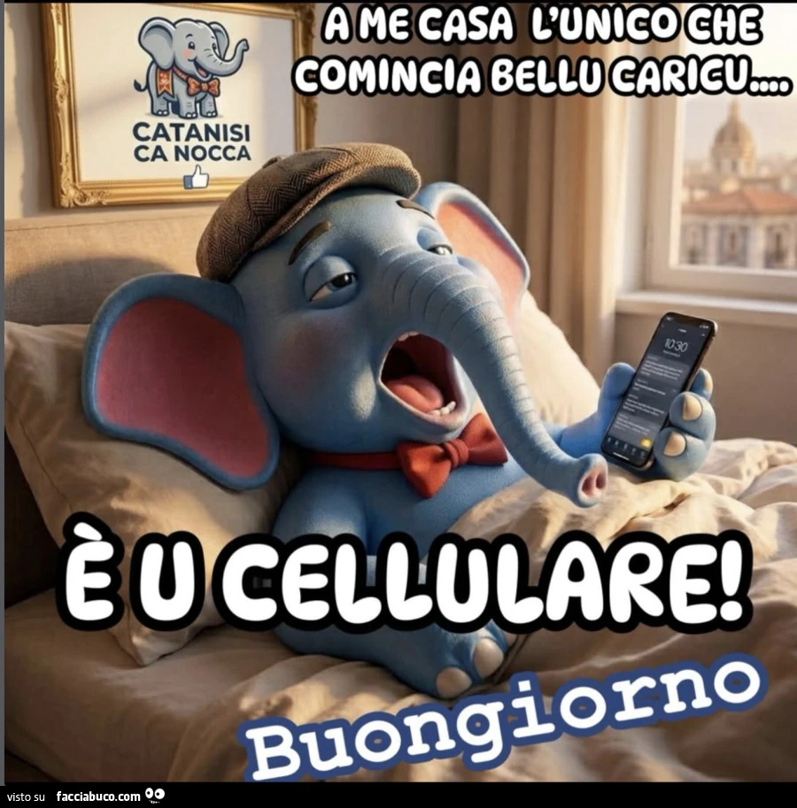 Vaccata