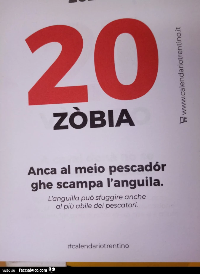 Anguille